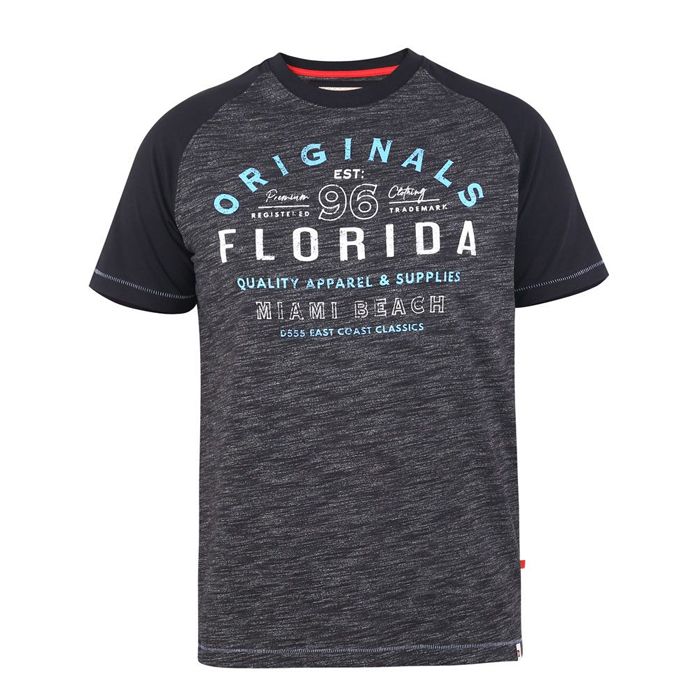 A10732XT Tall Fit D555 Florida Originals Raglan Sleeve T-Shirt