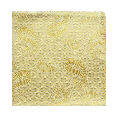 MWY311922 Paisley Poly Pocket Square (Gold)